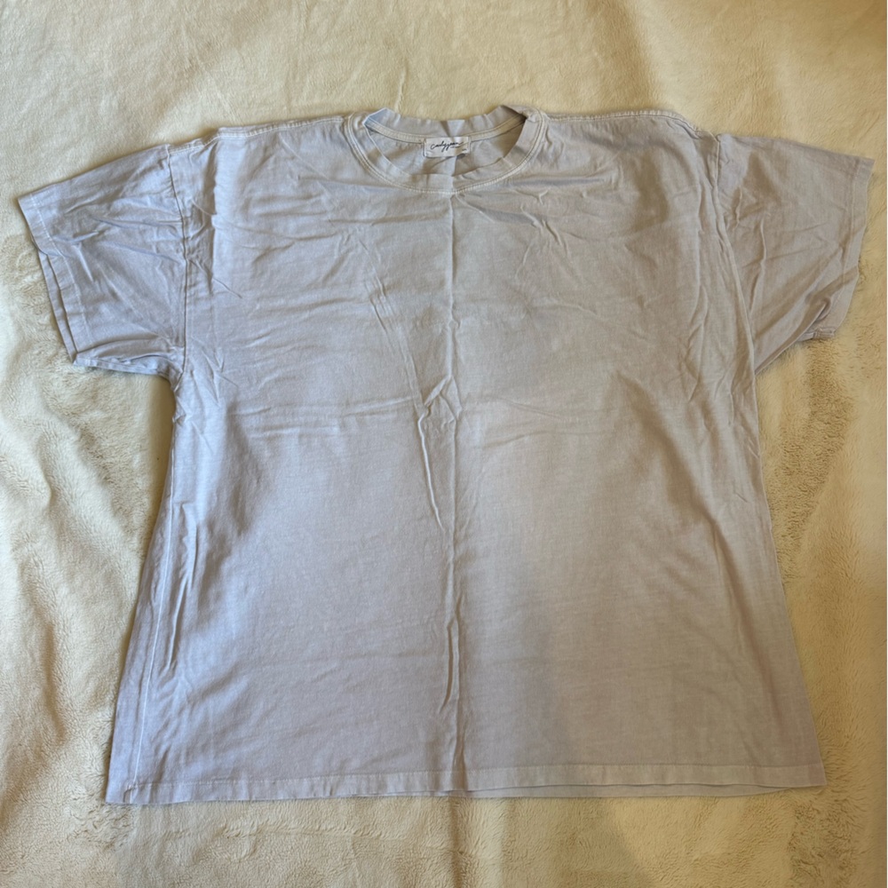Carly Jean Los Angeles Light Gray Charlie Tee